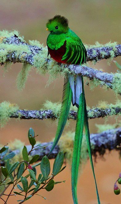 395116_389977994413140_850926156_n