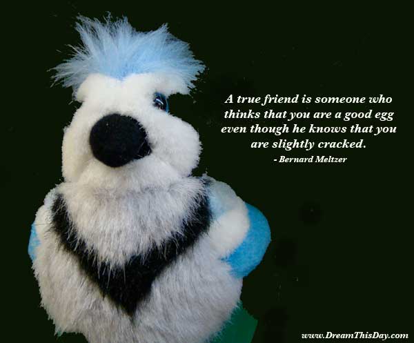 meltzer-friend-cracked