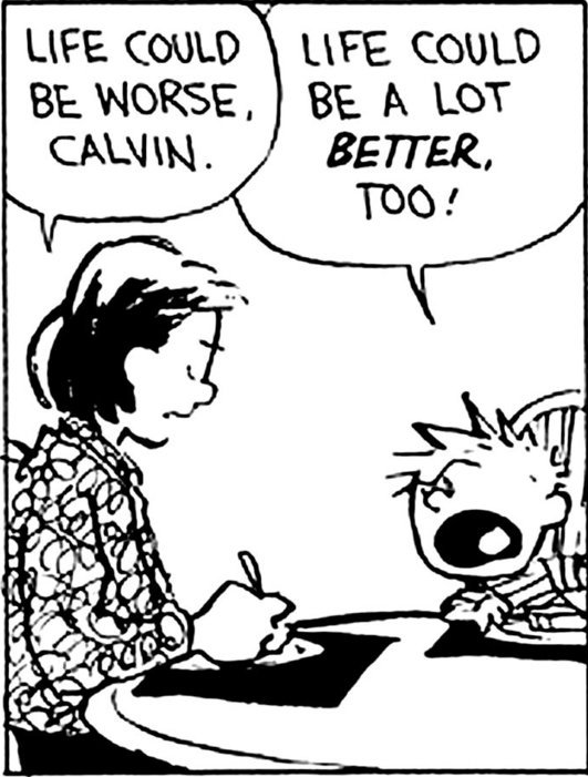 funny-calvin-life